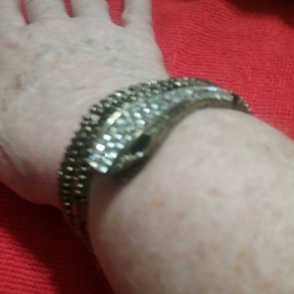 Unique Snake link bracelet